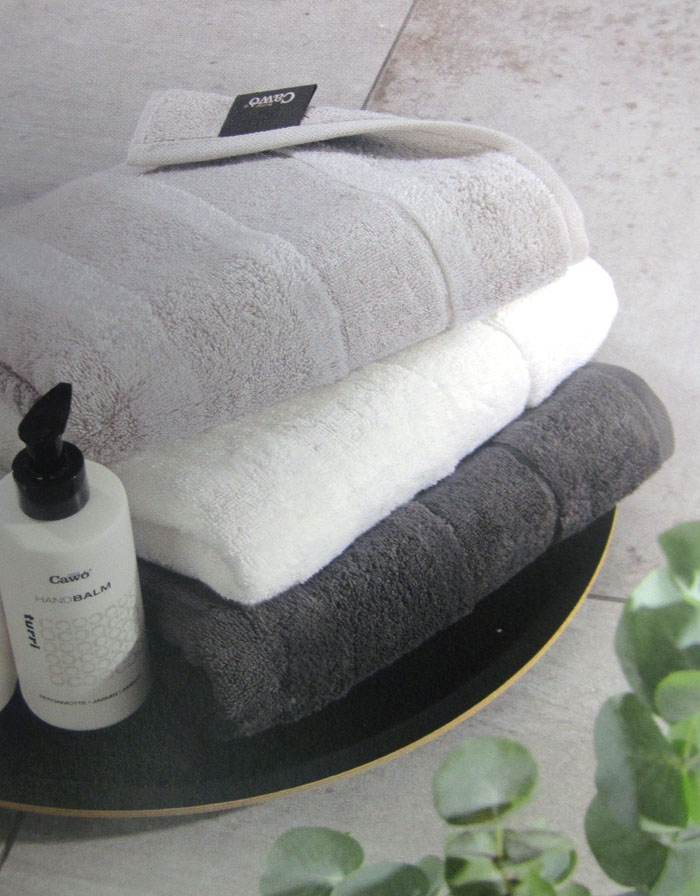 Gästetuch Noblesse 1002 Fb. 705 platin 30 x 50 cm