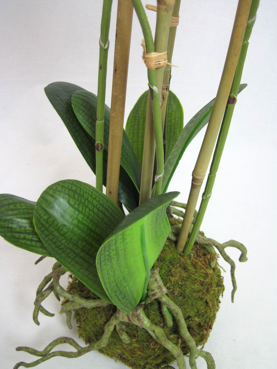 Kunstpflanze Phalaenopsis 4 Triebe auf Mooskugel ca. 54cm