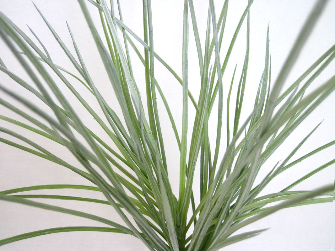 1 Gräserstrauß künstlich Hellgrün ca. 50 cm