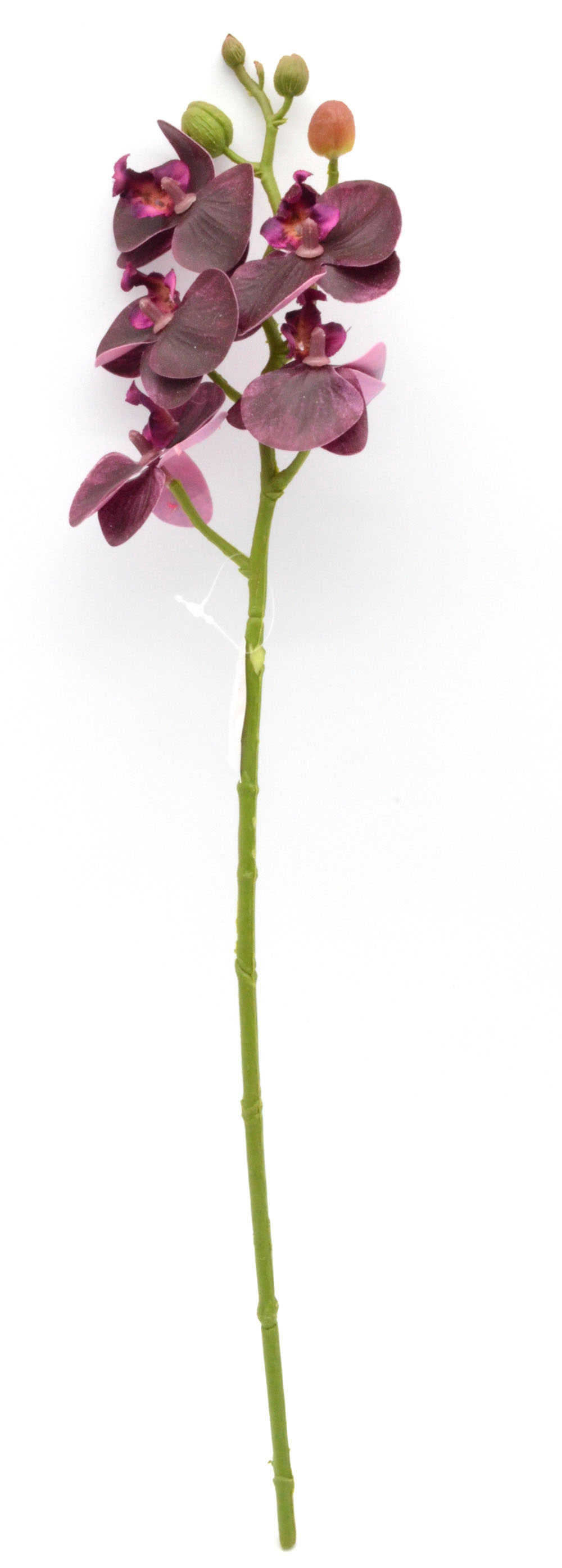 1 Kunst - Orchidee Phalaenopsis dunkellila ca.46 cm