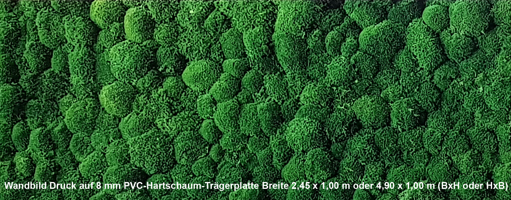 moosbild_d2 Wandbild Kugelmoos 2,45x1,0 m (BxH) gedruckt