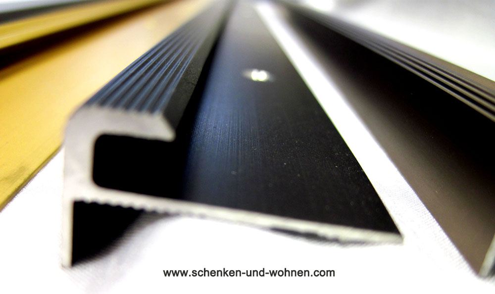 einschubprofil_mit_nased1_1_1_2 Einschubprofil 5 mm mit Nase 1 m lang 28mm breit Alu Bronze dunkel