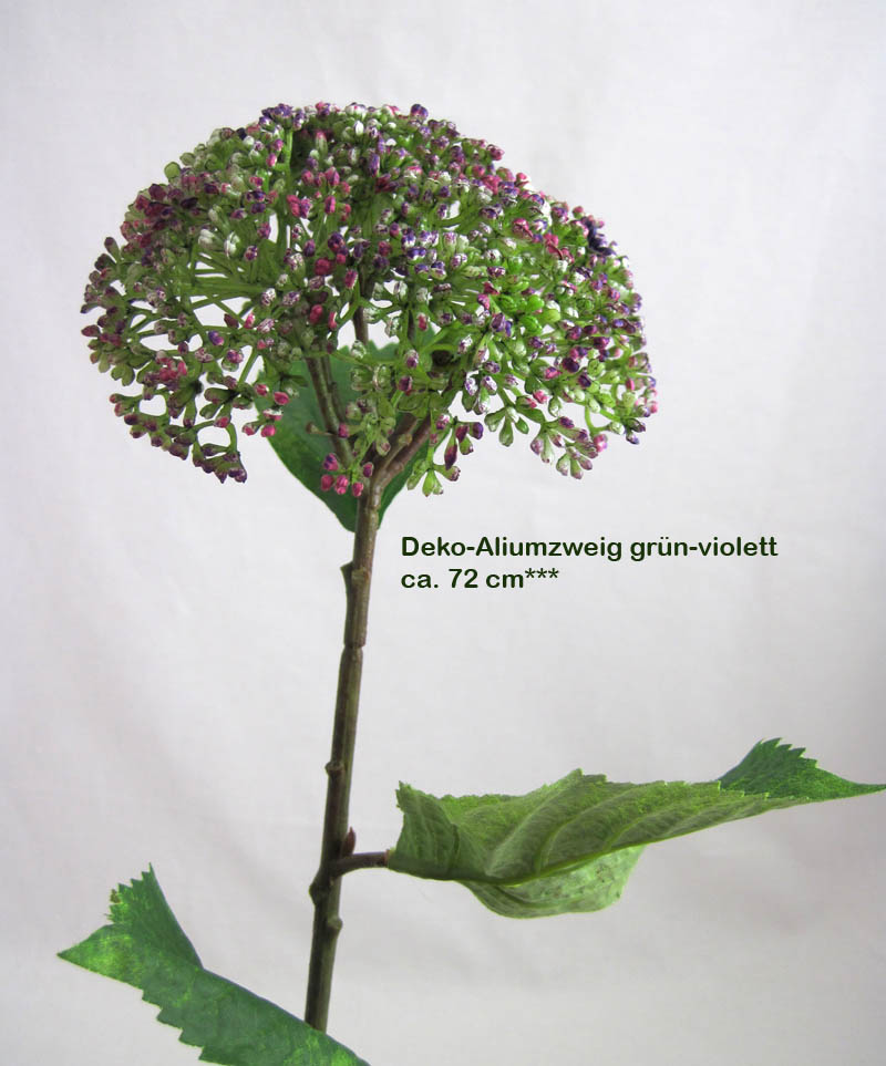 1 Deko-Blume Allium grün-violett, ca. 72 cm