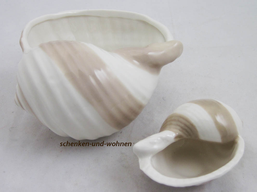 Deko-Muschel cremefarben ca. 10 cm
