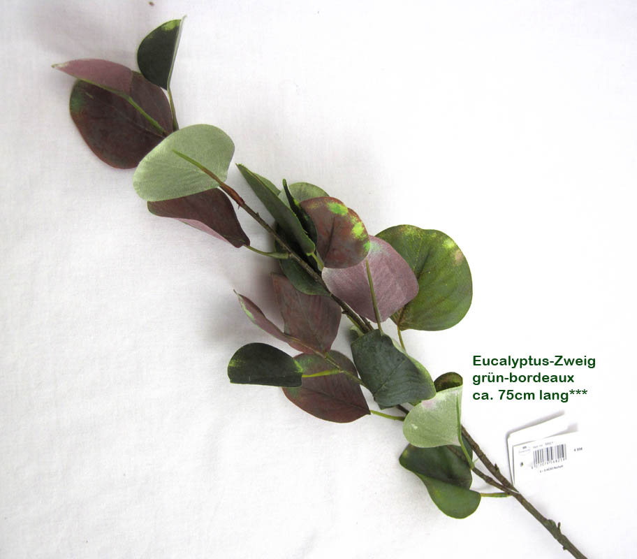 1 Deko-Zweig Eucalyptus grün-bordeaux, ca. 75 cm