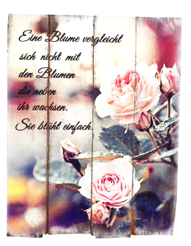 18411_eine_blume_vergleicht_d1 Wandbild "EineBlume vergleicht sich nicht ..." 30x40 BxH