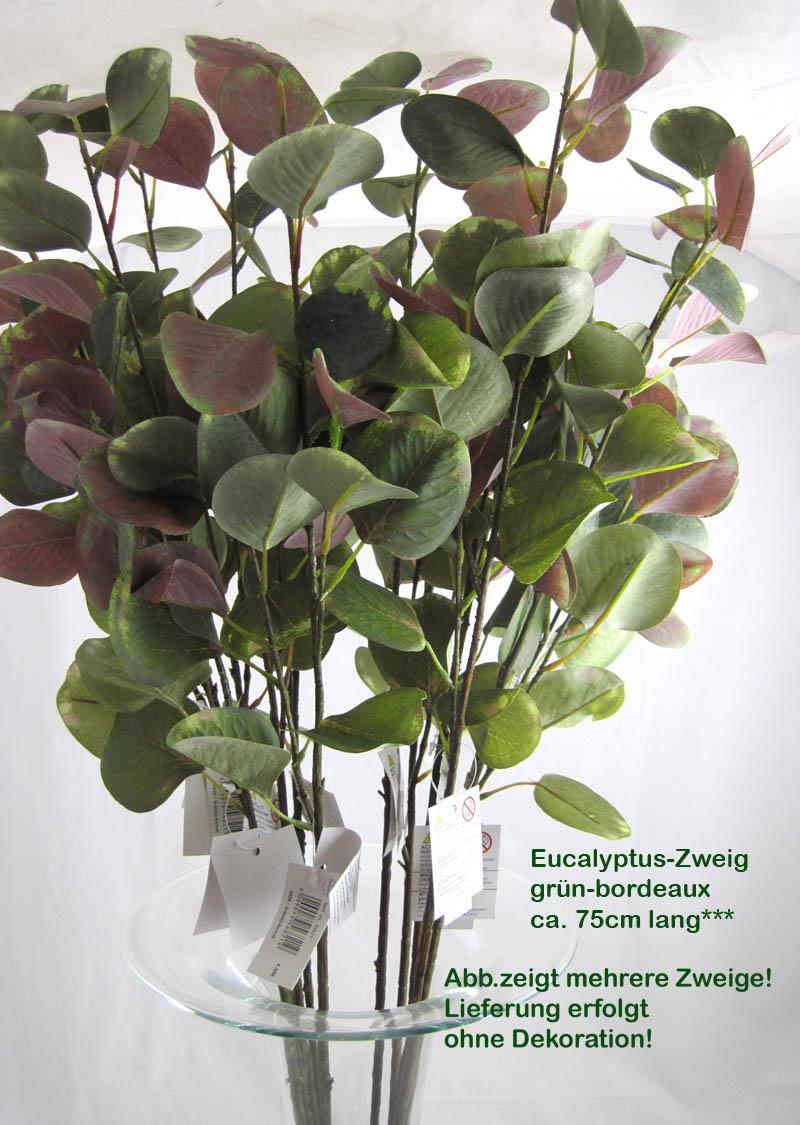 1 Deko-Zweig Eucalyptus grün-bordeaux, ca. 75 cm