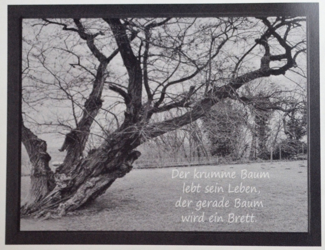 10472_der_krumme_baumd2 Wandbild "Der krumme Baum" 40x30 BxH