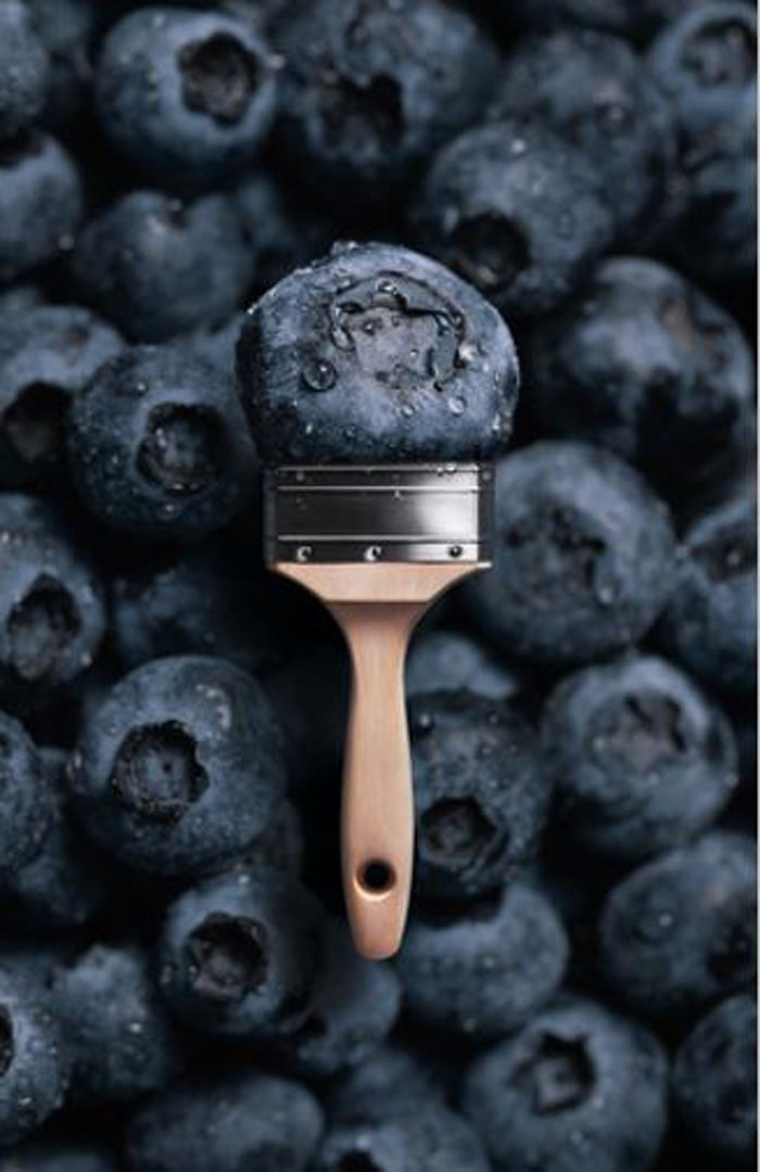 Schöner Wohnen Trendfarbe 7504 blueberry matt 1 l