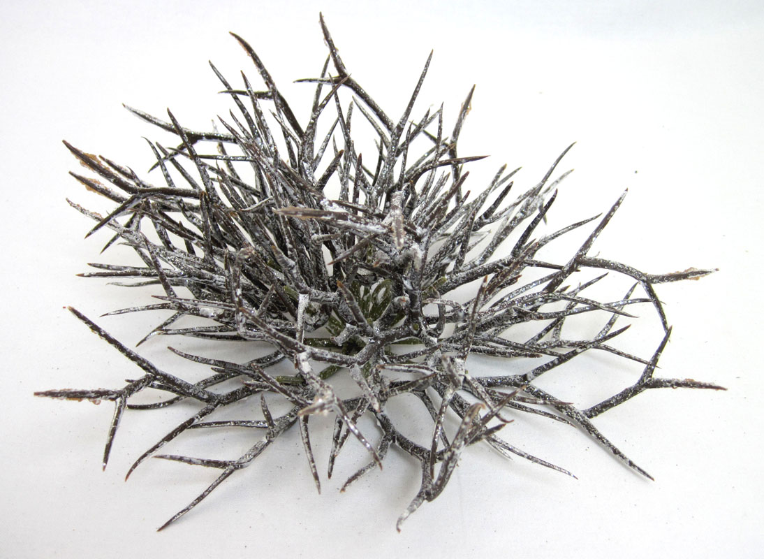 Winterliche Tischdekoration mit Glitzer Braun-Weiß ca. 25 cm