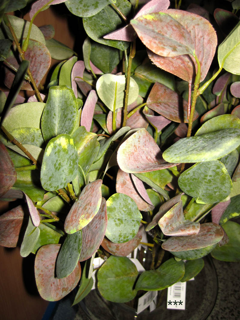 1 Deko-Zweig Eucalyptus grün-bordeaux, ca. 75 cm