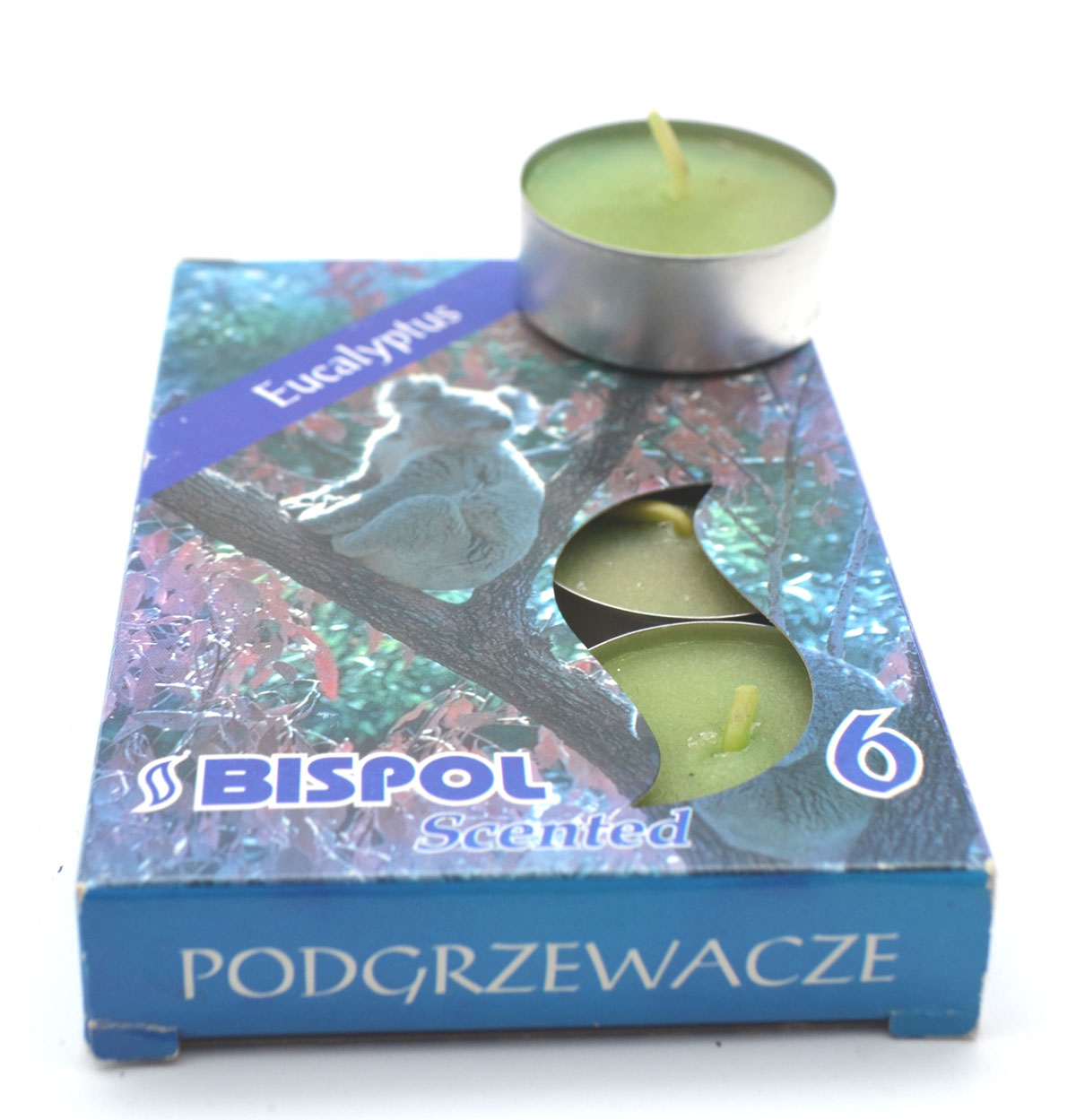 Teelichter 6er Packung Eucalyptus-Duft