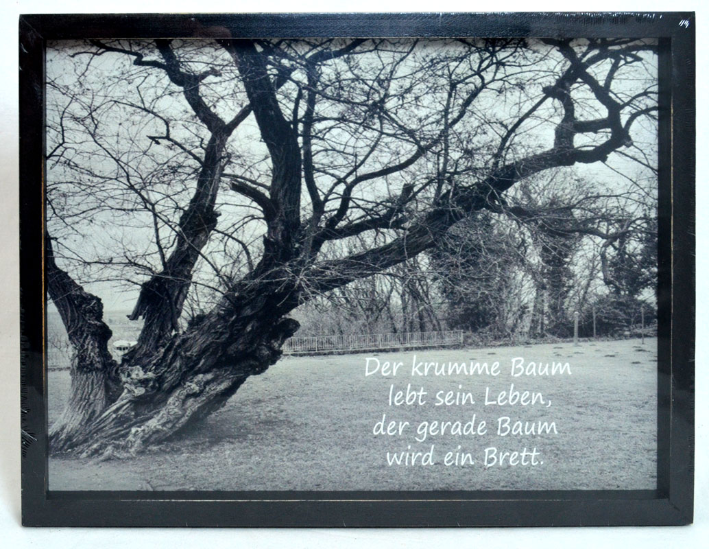 10472_der_krumme_baum Wandbild "Der krumme Baum" 40x30 BxH