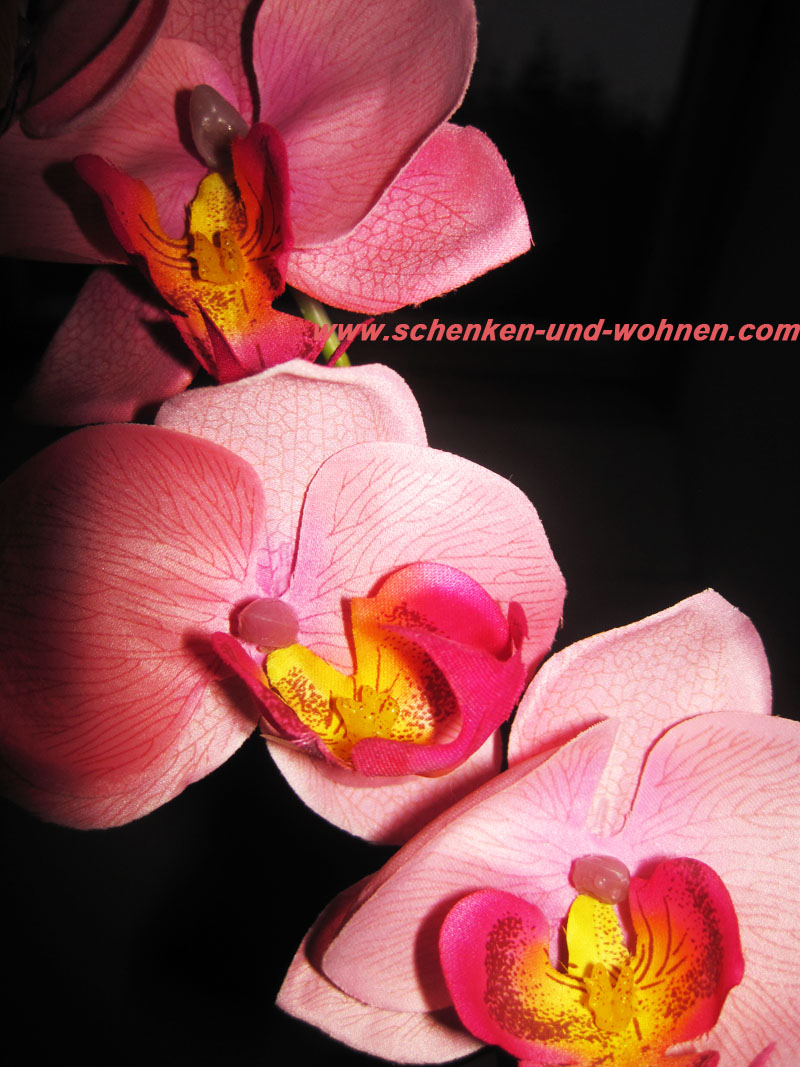 Kunst - Orchidee Phalaenopsis, Rosa, 80 cm