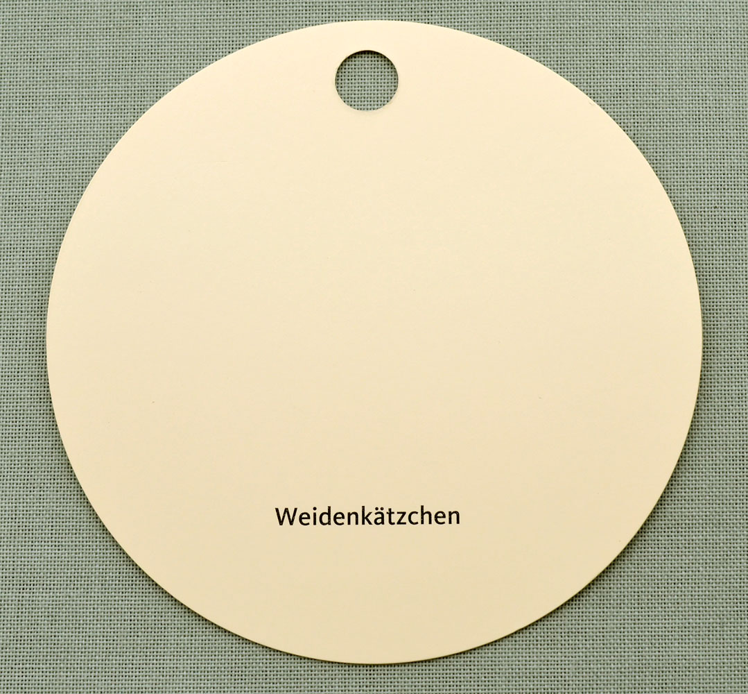 Weidenkätzchen