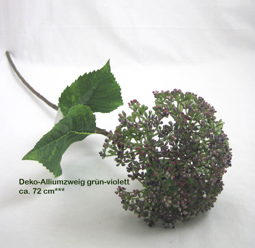 1 Deko-Blume Allium grün-violett, ca. 72 cm