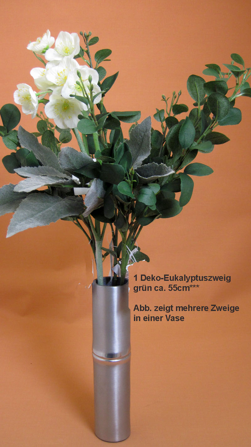 Eucalyptuszweig grün Höhe 56cm
