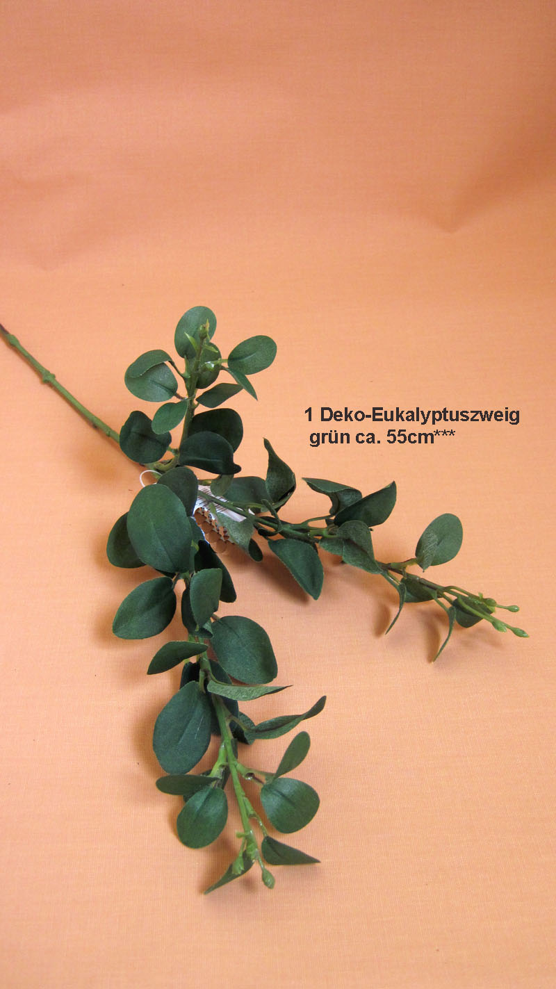 Eucalyptuszweig grün Höhe 56cm
