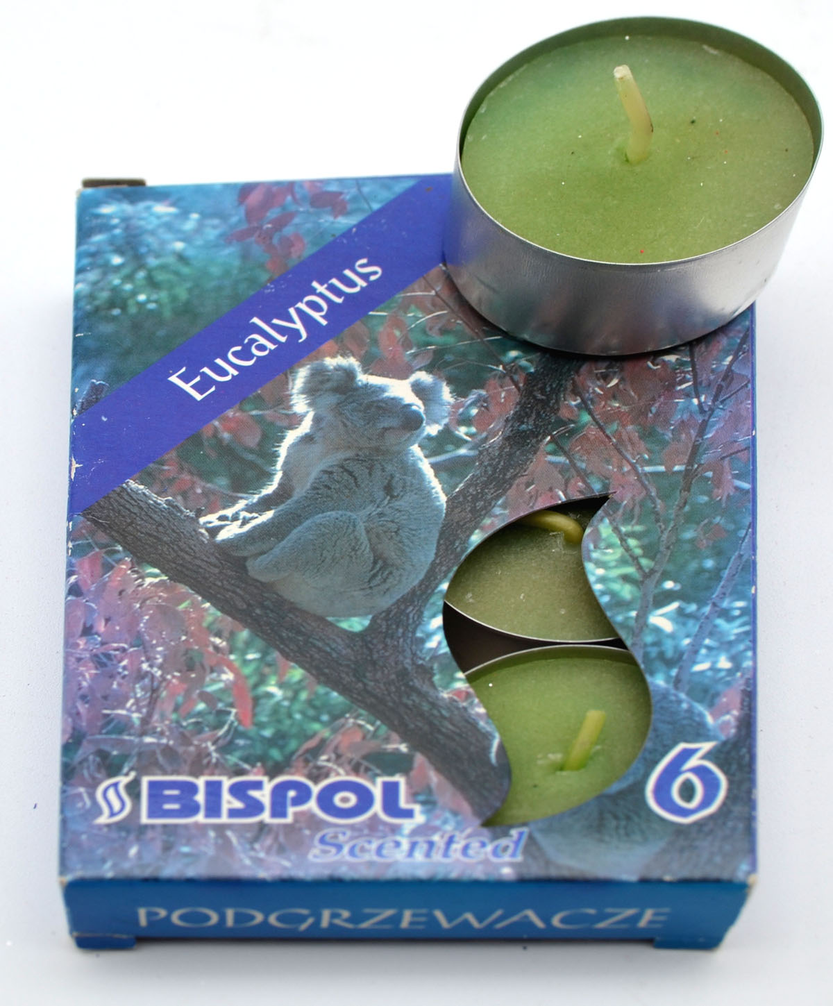 Teelichter 6er Packung Eucalyptus-Duft