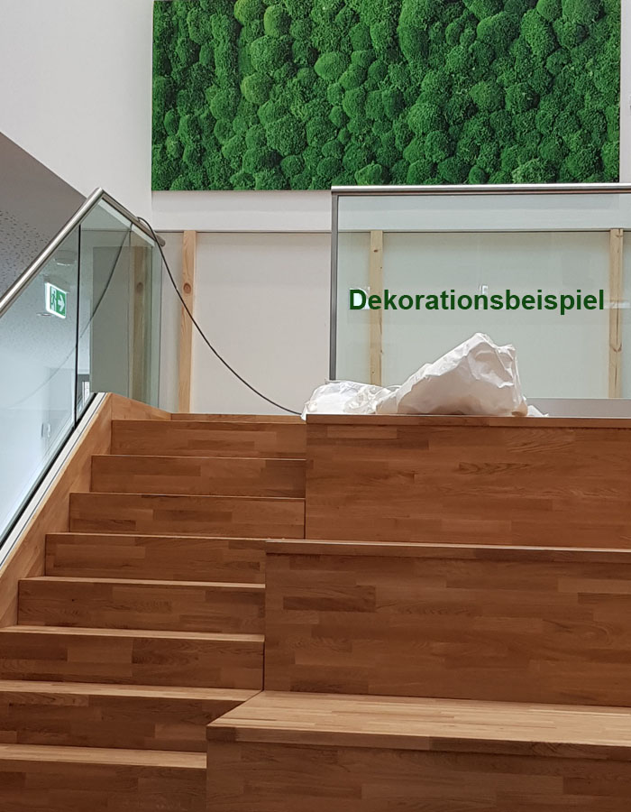 moosbild_d2_1 Wandbild Kugelmoos 2,45x1,0 m (BxH) gedruckt