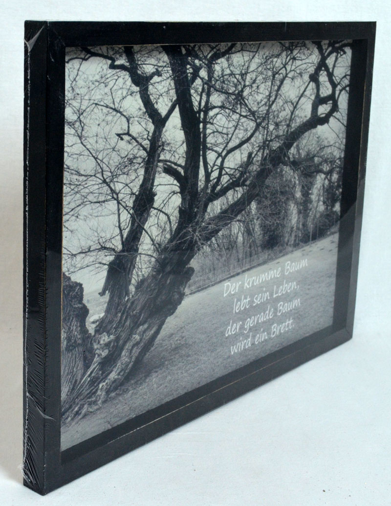 10472_der_krumme_baumd1 Wandbild "Der krumme Baum" 40x30 BxH
