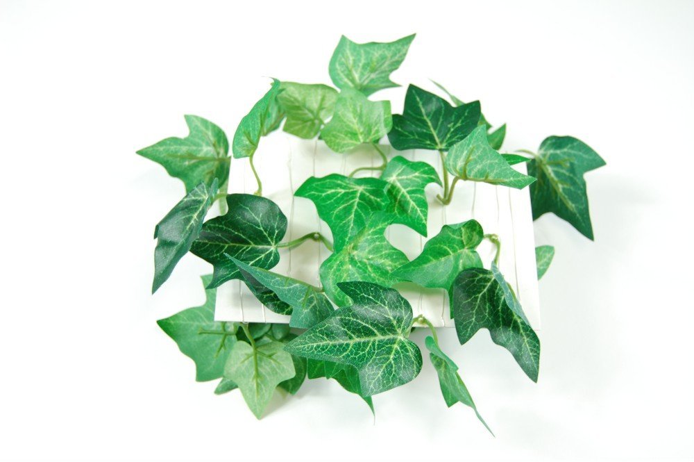 apricot_efeu_1UaVmWnMglO2oJ Tischdekoration Fibula Summertime S