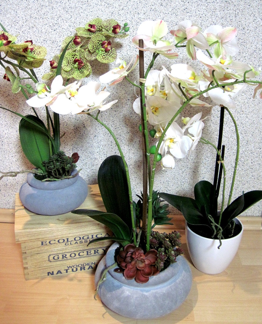 Kunstpflanze Phalaenopsis 4 Triebe auf Mooskugel ca. 54cm