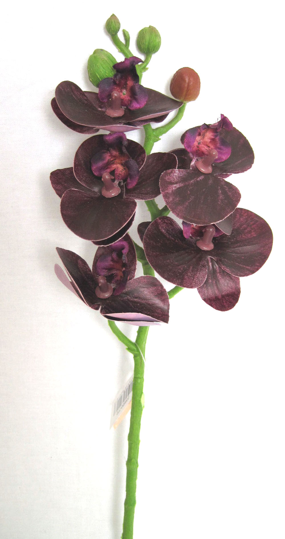 1 Kunst - Orchidee Phalaenopsis dunkellila ca.46 cm