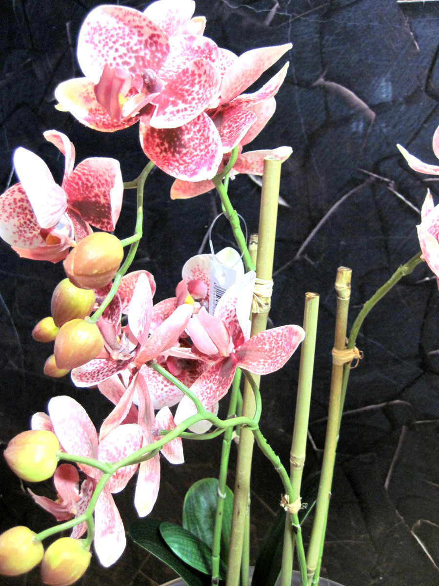 Kunstpflanze Phalaenopsis 4 Triebe auf Mooskugel ca. 54cm