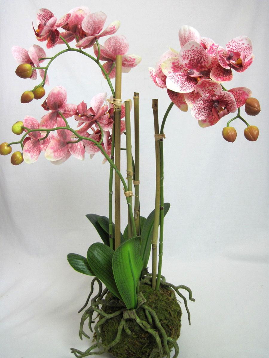 Kunstpflanze Phalaenopsis 4 Triebe auf Mooskugel ca. 54cm