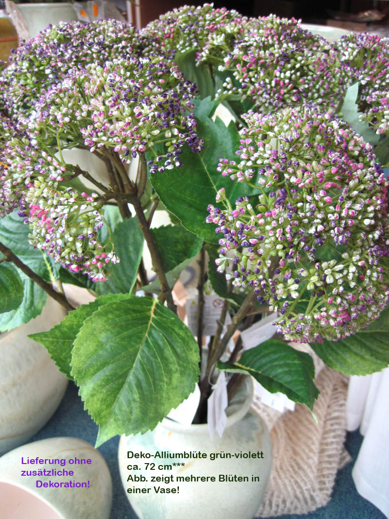 1 Deko-Blume Allium grün-violett, ca. 72 cm